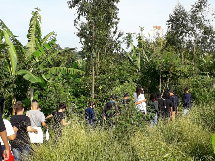 VISITA ALUNOS ESCOLA PEDRO TORRES AGROFLORESTANUME02