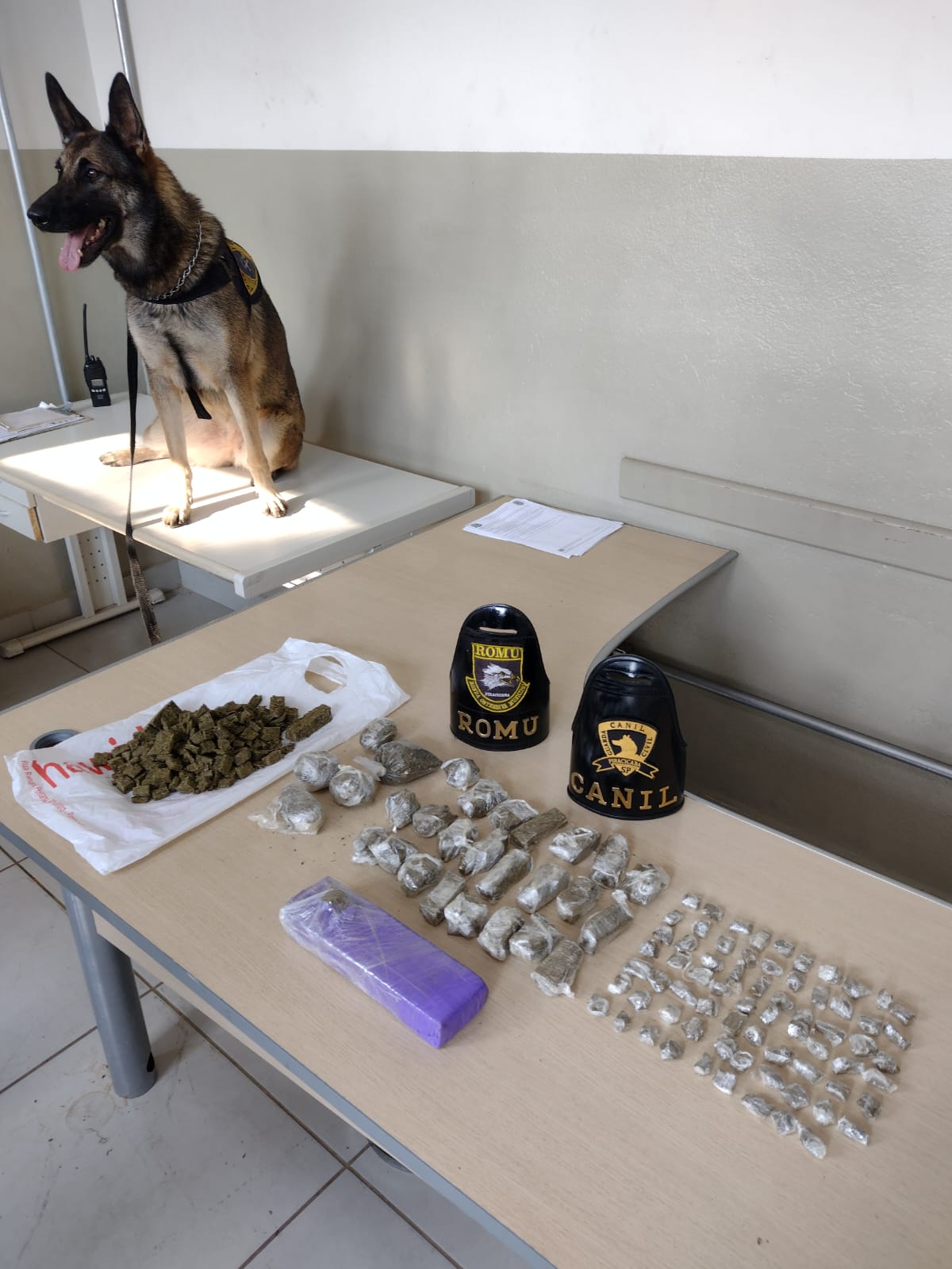 Cão farejador encontra droga no bairro Santa Rosa Ipês