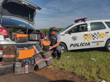 Mais de 156 quilos de maconha é apreendido pela Polícia em Ibirarema