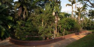 Após dois anos, Parque da Ciência Butantan reabre ao público