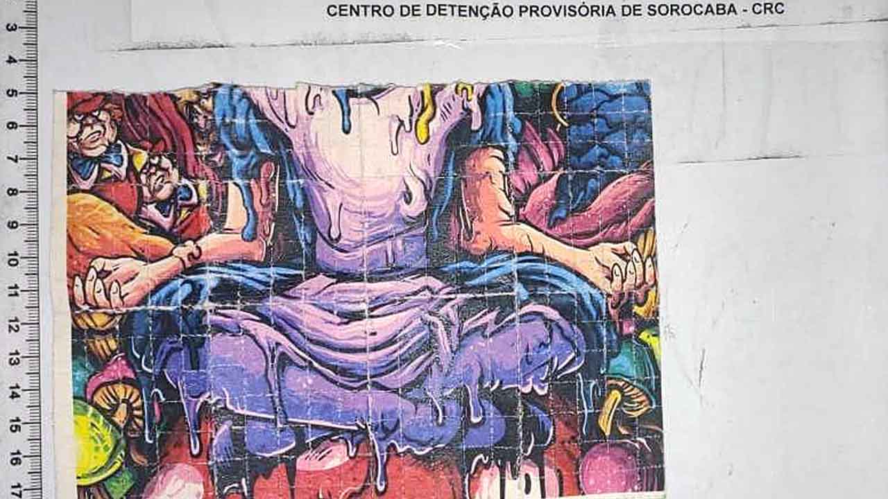 Droga sintética é encontrada em peça íntima de visitante