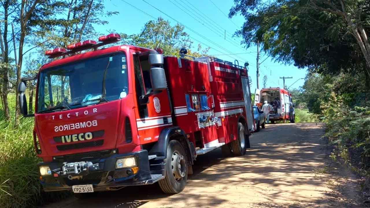 Idoso é prensado por toras de madeira