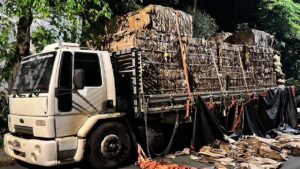 Polícia apreende 1 tonelada de maconha em Cotia