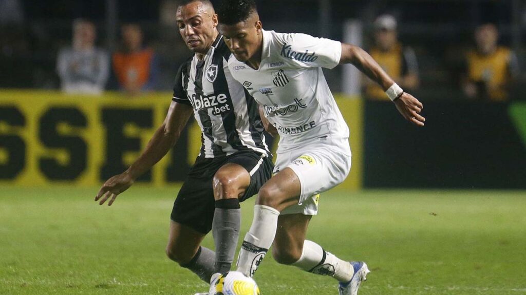 De olho em vaga na Libertadores, Botafogo recebe o Santos