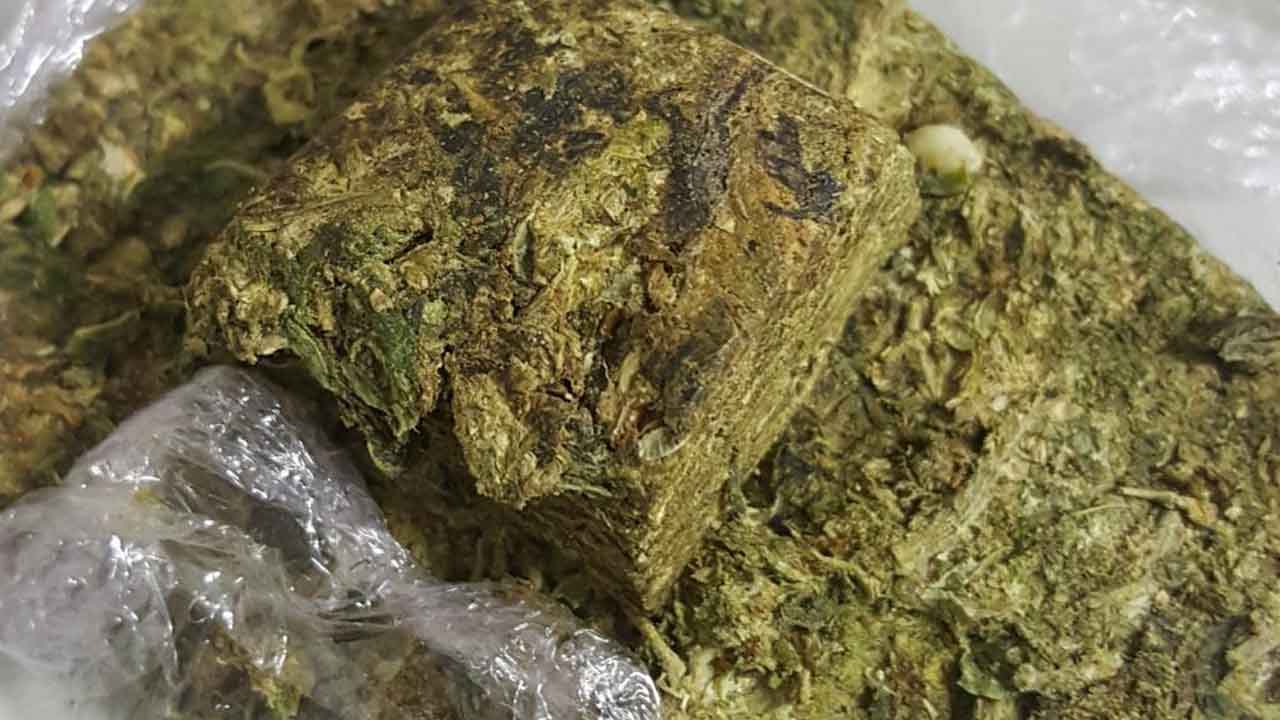 PF, em ação conjunta com a PM, apreende 4 toneladas de maconha