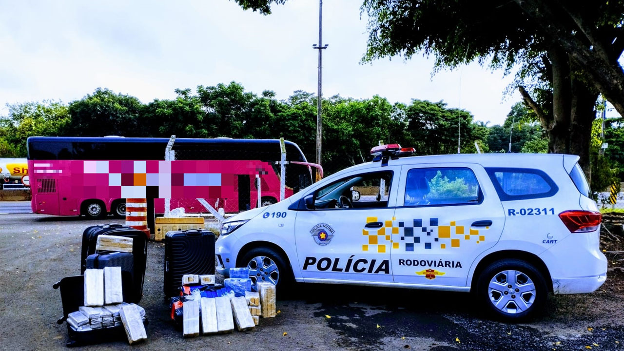 Motorista tenta transportar 154 quilos de maconha no ônibus e foi preso em Assis