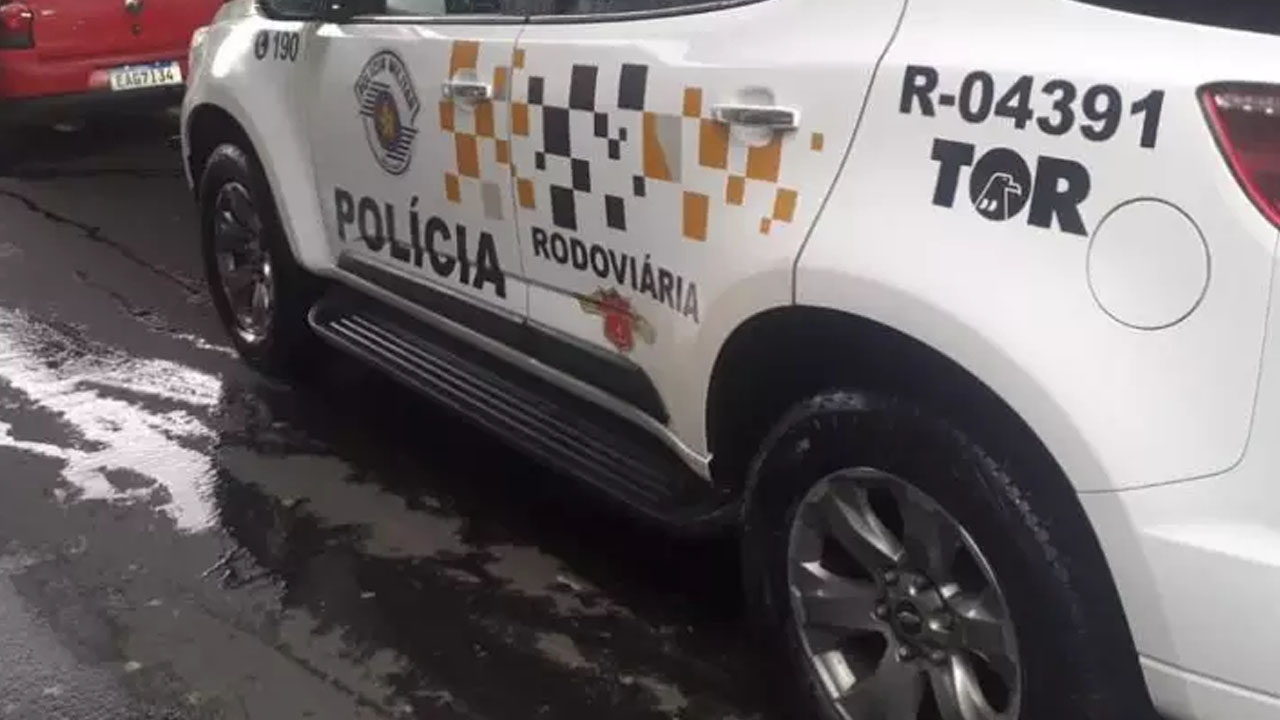 Homem de 42 anos morre ao colidir com cavalo morto na Rodovia