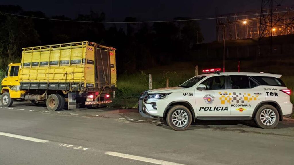 Dupla e presa em flagrante por furto de gado em Guaranta