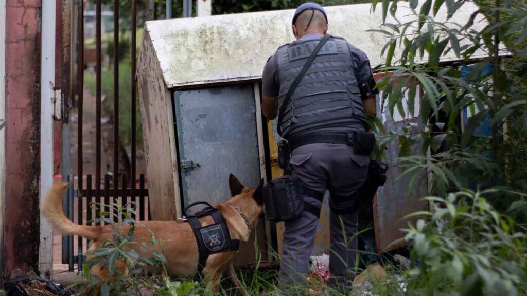 Batida policial em pontos de tráfico leva 15 para prisão em Botucatu e São Manuel