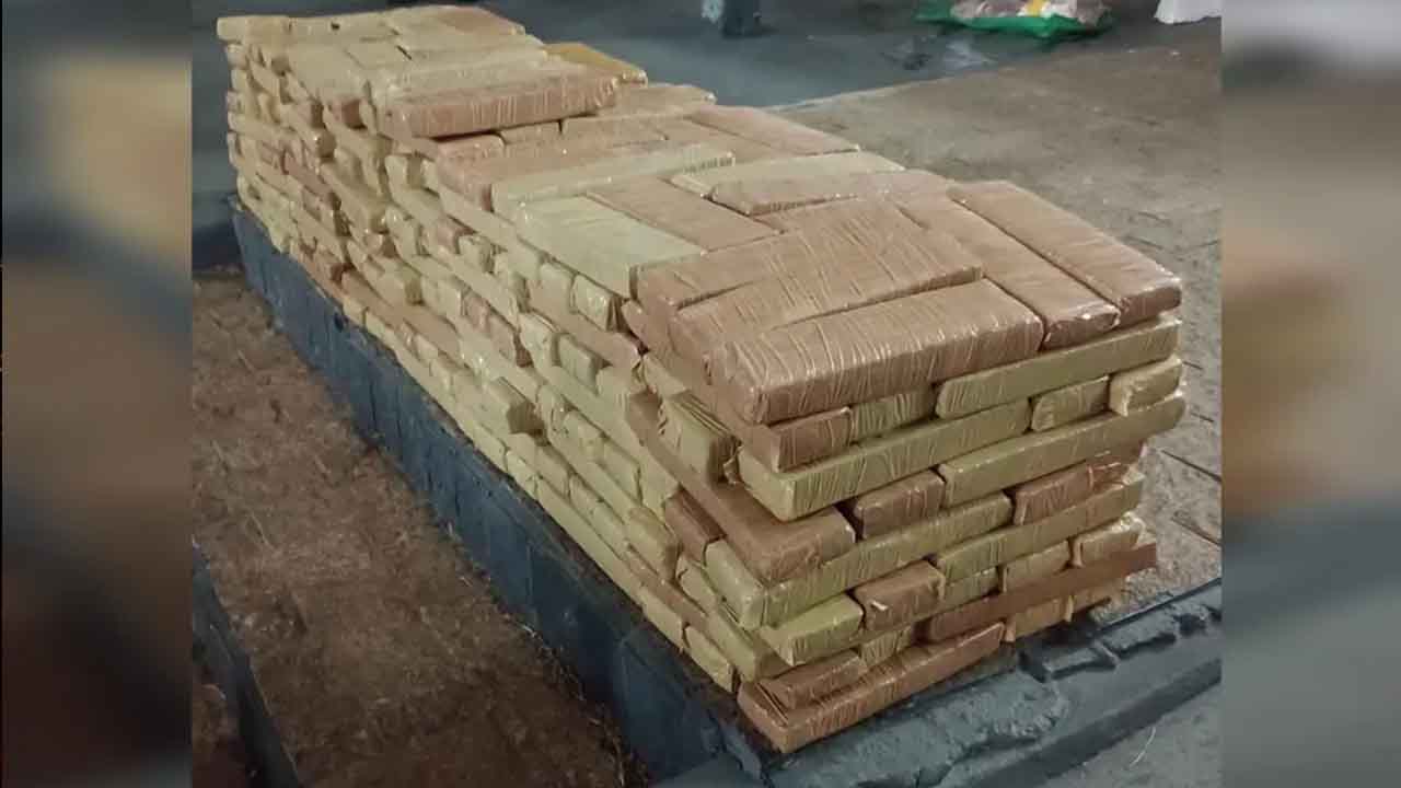 Jovem é preso com 233 quilos de maconha em veículo 'clonado'