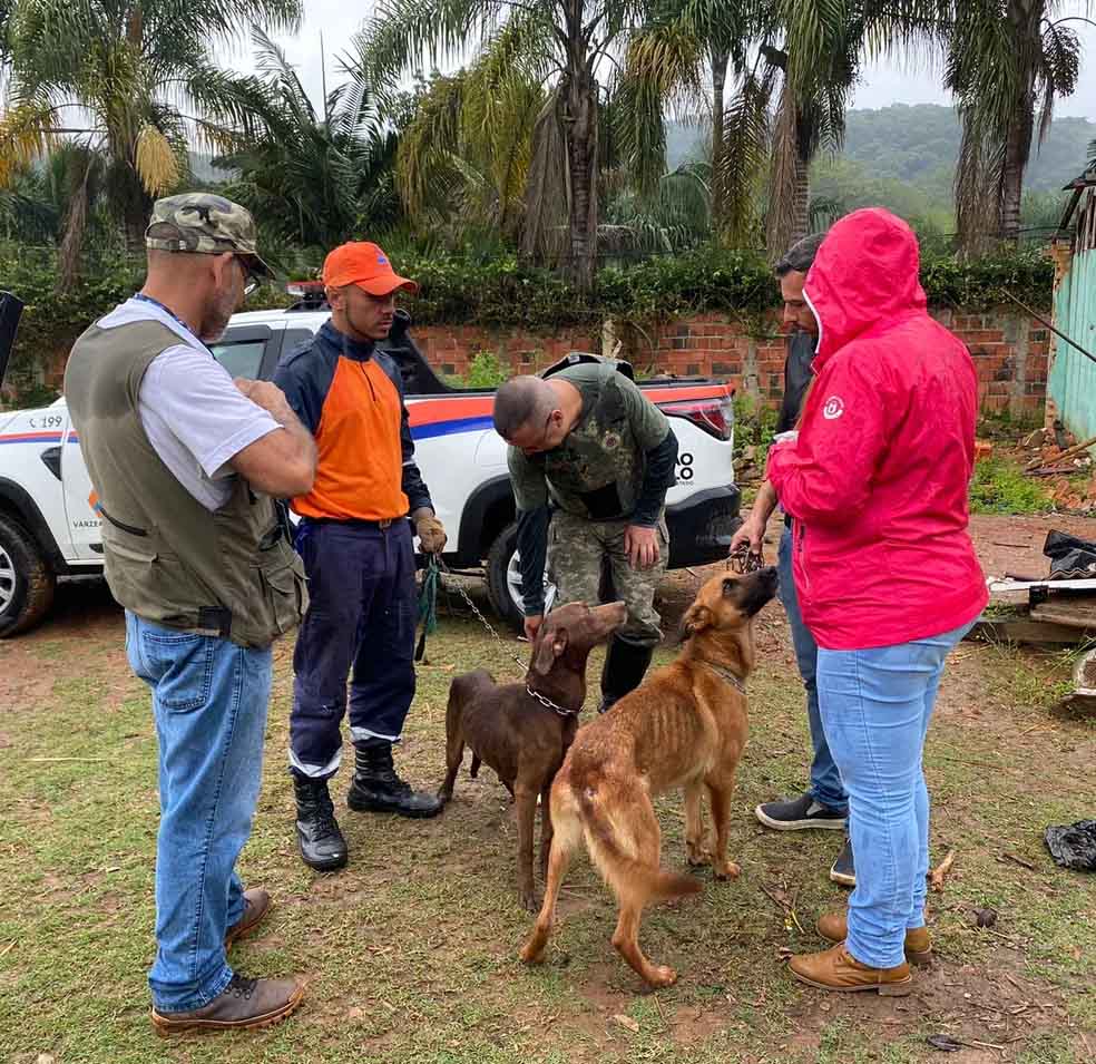 Falso adestrador que abrigava cachorros irregularmente e preso por maus tratos 1