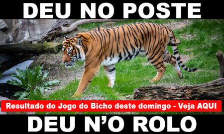 DEU NO POSTE - Resultado Jogo do Bicho, 22/08/2021