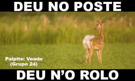 DEU NO POSTE - Resultado do Jogo do Bicho (RJ) 07/12/2019