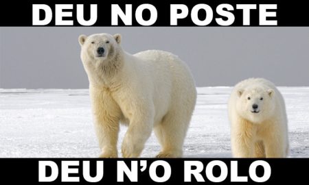 Grupo 23 - Dezenas do Urso - Jogo do Bicho