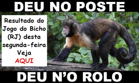 Resultado Deu no Poste 21 horas - Giga Bicho