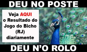 DEU NO POSTE  O Rolo Notícias - Resultado do Jogo do Bicho