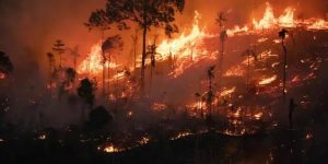 Incêndios na Amazônia batem recorde no início de 2024 e sindicato culpa cortes no orçamento de combate