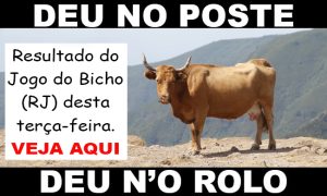 deu no poste - jogo do bicho - resultado do jogo do bicho