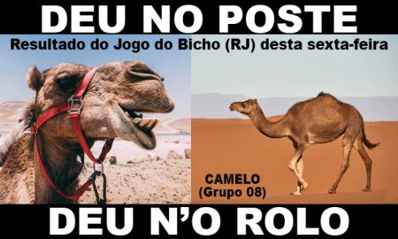 deu no poste - resultado do jogo do bicho