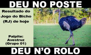 deu no poste - jogo do bicho - resultado do jogo do bicho