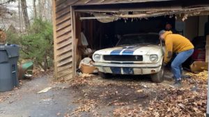 Mustang Shelby GT350 1965 parado por décadas é achado em casa nos EUA